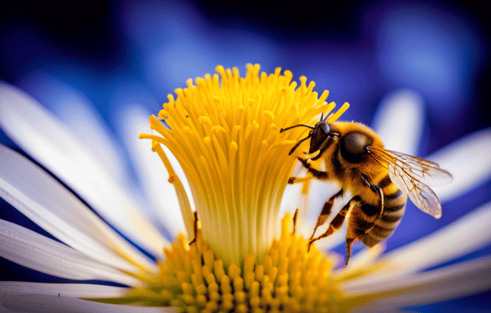 An image of a honeybee with its stinger embedded in a vibrant, blooming flower