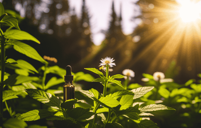 An image showcasing a vibrant, lush garden filled with diverse plants and flowers, where a radiant beam of sunlight illuminates a bottle of CBD oil, symbolizing the natural boost it provides to the immune system