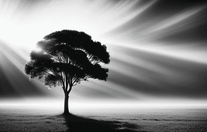 An image that depicts a serene, monochromatic landscape where a solitary tree stands tall amidst a delicate interplay of light and shadow