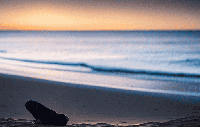 An image of a serene beach scene at sunset, with soft golden light reflecting on calm ocean waves