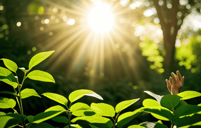 An image of a person meditating in a serene garden, with rays of golden sunlight filtering through lush green leaves