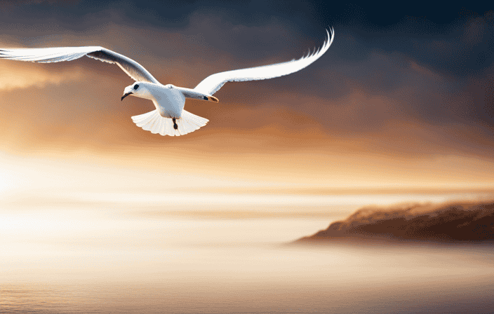 An image capturing the essence of seagulls as spiritual symbols: A solitary seagull soaring gracefully over a tranquil shoreline, its wings outstretched, bathed in the golden light of the setting sun