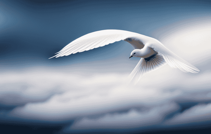 An image capturing the essence of white: a solitary dove gracefully gliding through a cloudless sky, its pure feathers symbolizing peace and purity, embodying a divine connection to the spiritual realm