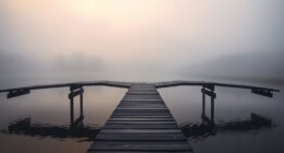 bridges symbolize transition and change