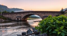 embrace stability and foundation