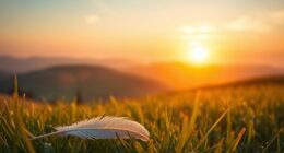 trust in divine timing