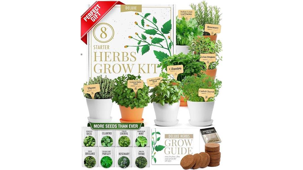 indoor herb seed kit