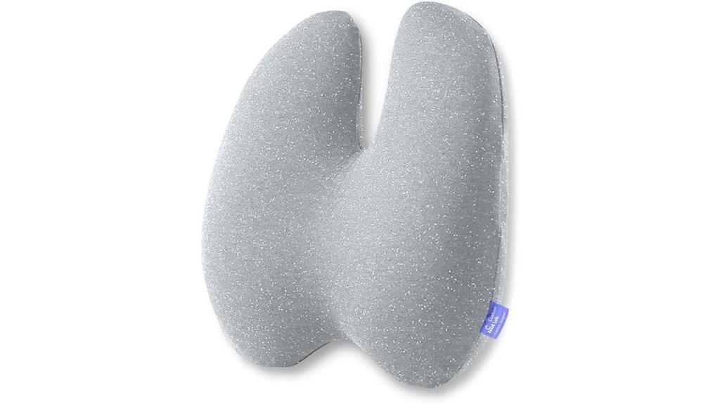 lumbar back support pillow