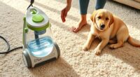 pet friendly portable carpet cleaners