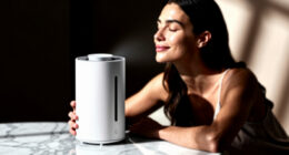 10 Best Scent Air Machine For Home In 2026