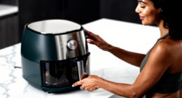 9 Best Air Fryer Steam Oven Combo in 2026