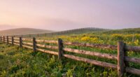 boundaries support personal growth