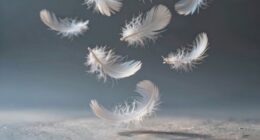 dreams reflect stress control