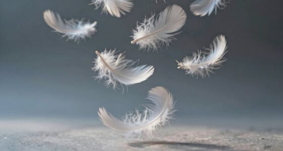 dreams reflect stress control