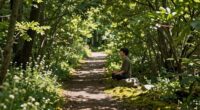 gentle spiritual development journey