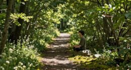 gentle spiritual development journey