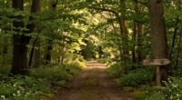 moving with gentle purpose