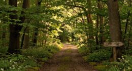 moving with gentle purpose