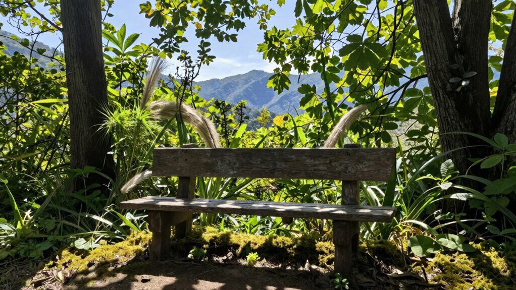 outdoor benches enhance meditation