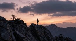 resilience and self discovery emerge