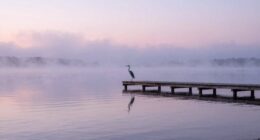 seeing clearly without bias