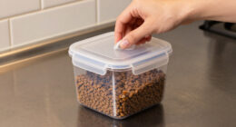 15 Best Pet Food Storage Containers in 2026